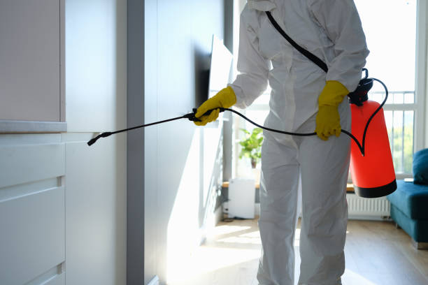 Best Commercial Mold Removal  in Jan Phyl Village, FL