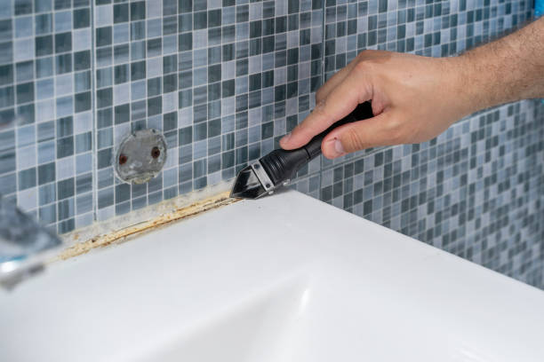 Best Fast Mold Removal  in Jan Phyl Village, FL